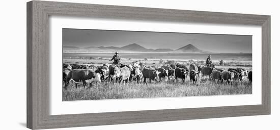 207-Dan Ballard-Framed Photographic Print