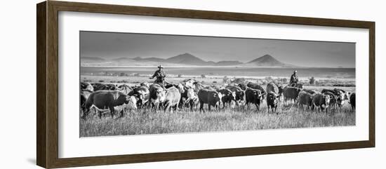 207-Dan Ballard-Framed Photographic Print