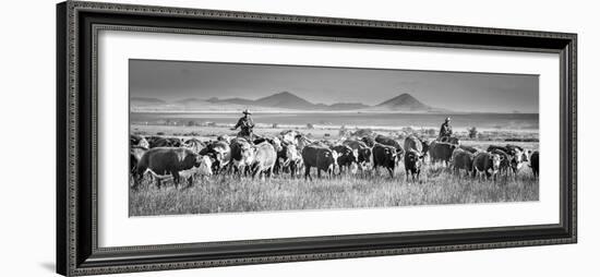 207-Dan Ballard-Framed Photographic Print