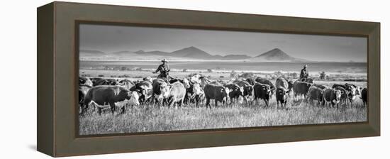 207-Dan Ballard-Framed Premier Image Canvas