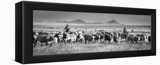 207-Dan Ballard-Framed Premier Image Canvas