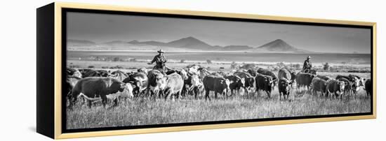 207-Dan Ballard-Framed Premier Image Canvas