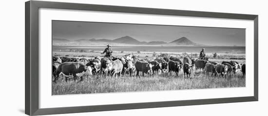 207-Dan Ballard-Framed Photographic Print