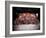 20th Reunion of Ringling Brothers and Barnum and Bailey Clown College-Henry Groskinsky-Framed Photographic Print