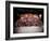 20th Reunion of Ringling Brothers and Barnum and Bailey Clown College-Henry Groskinsky-Framed Photographic Print