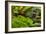 2114-Butterfly House-Gordon Semmens-Framed Photographic Print