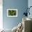 2116-Butterfly House-Gordon Semmens-Framed Photographic Print displayed on a wall