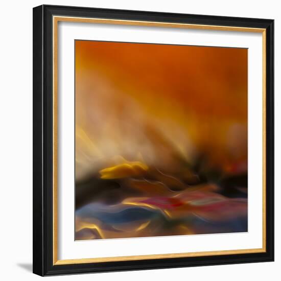 #216-Willy Marthinussen-Framed Photographic Print