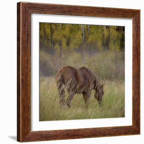 220-Dan Ballard-Framed Photographic Print