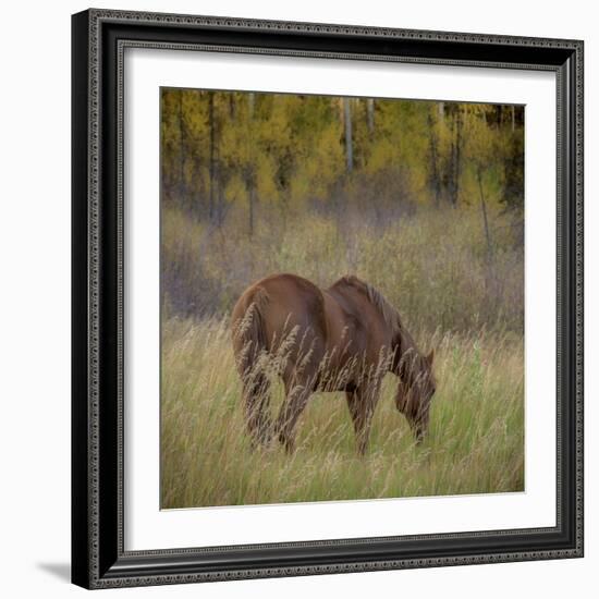 220-Dan Ballard-Framed Photographic Print