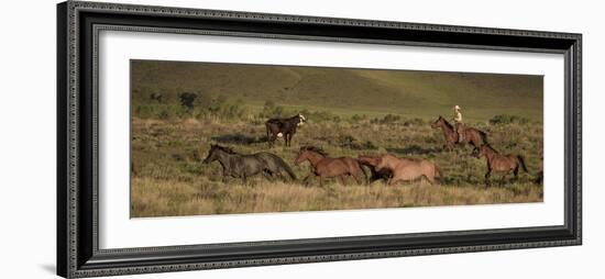 223-Dan Ballard-Framed Photographic Print