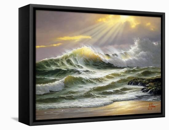 2269T0-Casay Anthony-Framed Premier Image Canvas