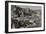 2278-Falls Park-B&W-Gordon Semmens-Framed Photographic Print