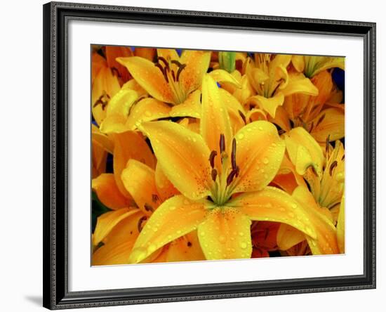 2296  21x16-The Lieberman Collection-Framed Giclee Print