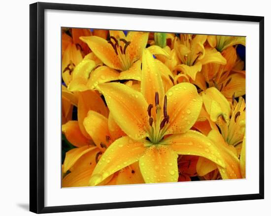 2296  21x16-The Lieberman Collection-Framed Giclee Print