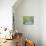22COF-Pierre Henri Matisse-Giclee Print displayed on a wall