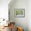 22COF-Pierre Henri Matisse-Framed Giclee Print displayed on a wall