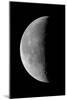 23 Day Old Waning Moon-null-Mounted Photographic Print