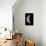 23 Day Old Waning Moon-null-Mounted Photographic Print displayed on a wall