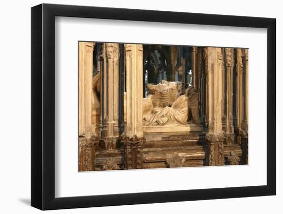 2319907.jp-Peter Thompson-Framed Photographic Print