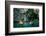 2332436.jp-Peter Thompson-Framed Photographic Print