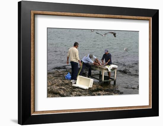 2332701.jp-Peter Thompson-Framed Photographic Print