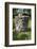 2332980.jp-Peter Thompson-Framed Photographic Print