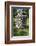 2332980.jp-Peter Thompson-Framed Photographic Print