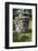 2332980.jp-Peter Thompson-Framed Photographic Print