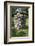 2332980.jp-Peter Thompson-Framed Photographic Print