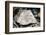 2332982.jp-Peter Thompson-Framed Photographic Print