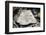 2332982.jp-Peter Thompson-Framed Photographic Print