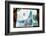 2333044.jp-Peter Thompson-Framed Photographic Print