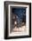 2333058.jp-Peter Thompson-Framed Photographic Print