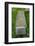 2333072.jp-Peter Thompson-Framed Photographic Print