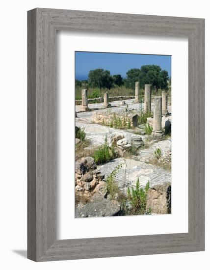 2333122.jp-Peter Thompson-Framed Photographic Print