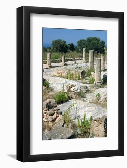 2333122.jp-Peter Thompson-Framed Photographic Print