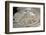 2333125.jp-Peter Thompson-Framed Photographic Print