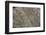 2333131.jp-Peter Thompson-Framed Photographic Print