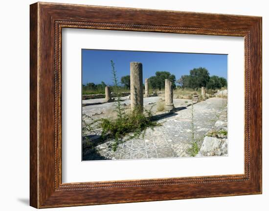 2333136.jp-Peter Thompson-Framed Photographic Print