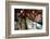 2333164.jp-Peter Thompson-Framed Photographic Print