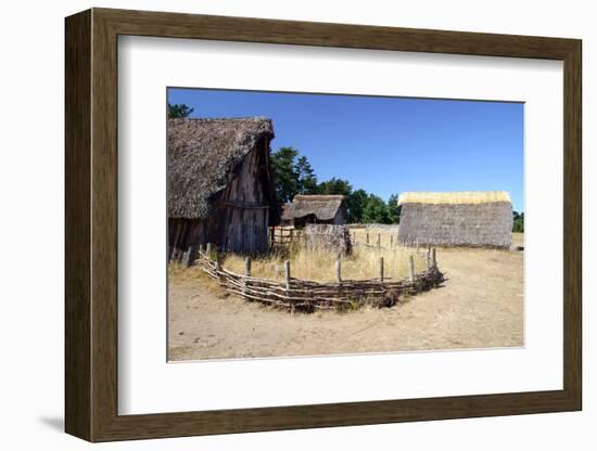 2333401.jp-Peter Thompson-Framed Photographic Print