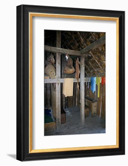 2333403.jp-Peter Thompson-Framed Photographic Print