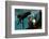 2333502.jp-Peter Thompson-Framed Photographic Print