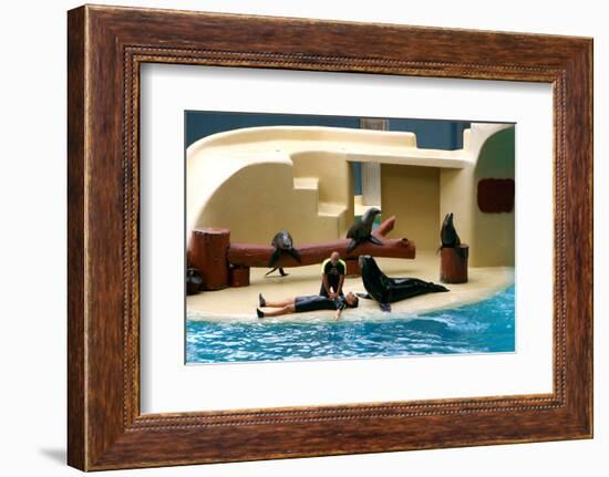 2333505.jp-Peter Thompson-Framed Photographic Print