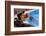 2333507.jp-Peter Thompson-Framed Photographic Print