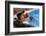 2333507.jp-Peter Thompson-Framed Photographic Print