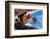 2333507.jp-Peter Thompson-Framed Photographic Print