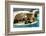 2333542.jp-Peter Thompson-Framed Photographic Print