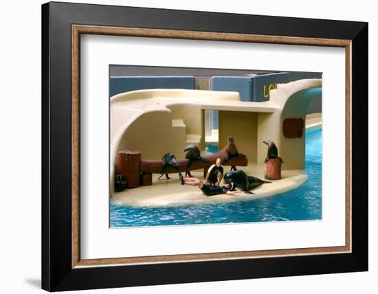 2333542.jp-Peter Thompson-Framed Photographic Print